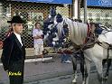 Andalusie 2008 195